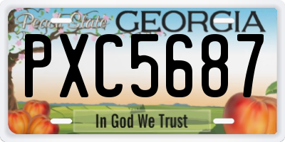 GA license plate PXC5687
