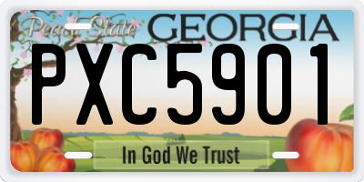 GA license plate PXC5901