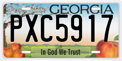 GA license plate PXC5917