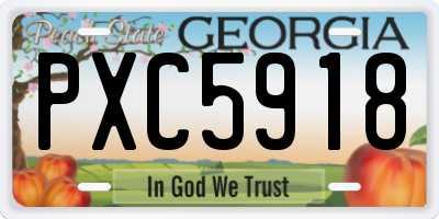 GA license plate PXC5918