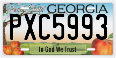 GA license plate PXC5993
