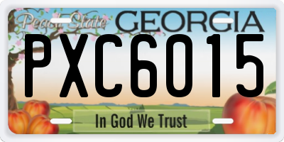 GA license plate PXC6015