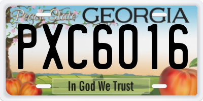 GA license plate PXC6016