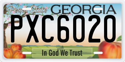 GA license plate PXC6020