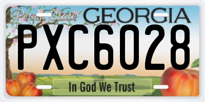 GA license plate PXC6028