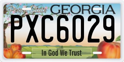 GA license plate PXC6029