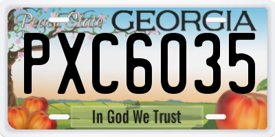 GA license plate PXC6035