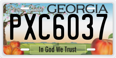 GA license plate PXC6037