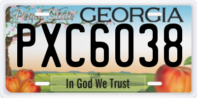 GA license plate PXC6038