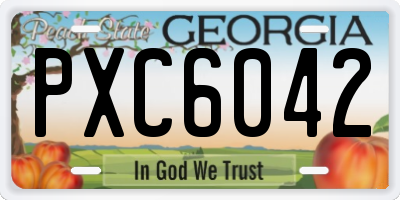 GA license plate PXC6042