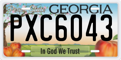 GA license plate PXC6043