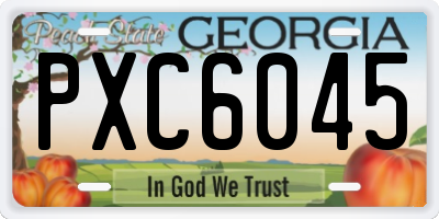 GA license plate PXC6045