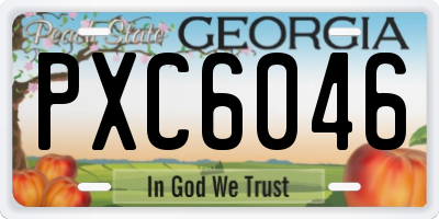 GA license plate PXC6046