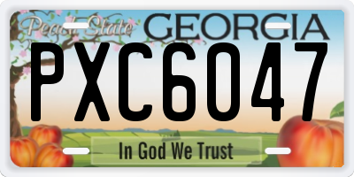 GA license plate PXC6047