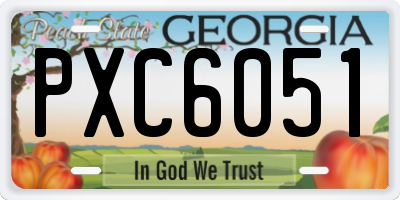 GA license plate PXC6051