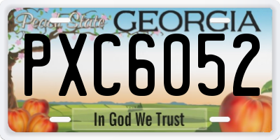 GA license plate PXC6052