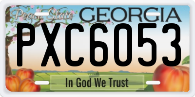 GA license plate PXC6053