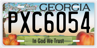 GA license plate PXC6054