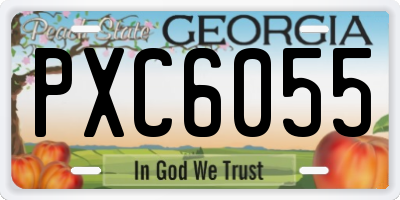 GA license plate PXC6055