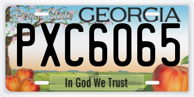 GA license plate PXC6065