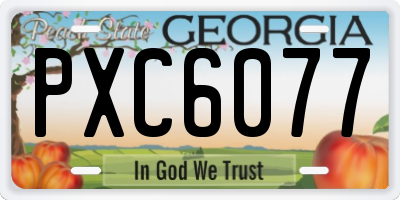 GA license plate PXC6077