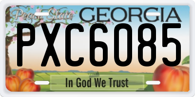 GA license plate PXC6085