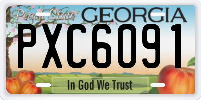 GA license plate PXC6091