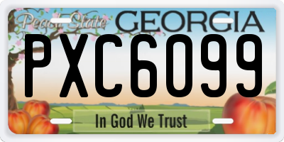 GA license plate PXC6099