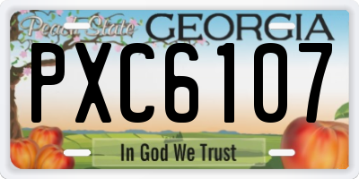 GA license plate PXC6107