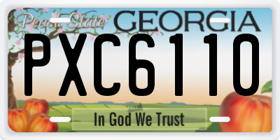 GA license plate PXC6110