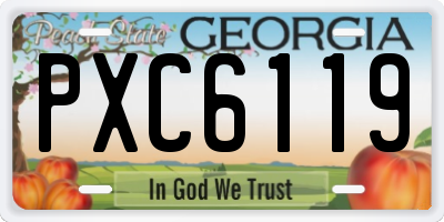 GA license plate PXC6119