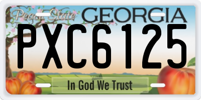 GA license plate PXC6125