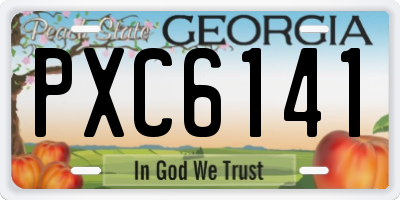 GA license plate PXC6141