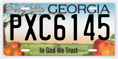 GA license plate PXC6145