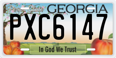 GA license plate PXC6147