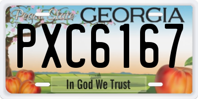 GA license plate PXC6167