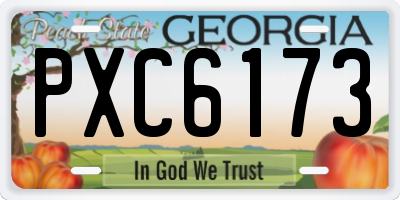 GA license plate PXC6173
