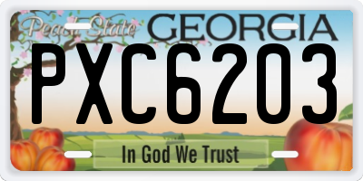 GA license plate PXC6203