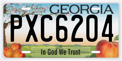 GA license plate PXC6204