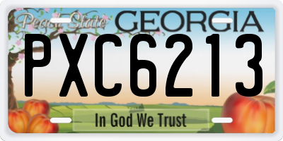 GA license plate PXC6213