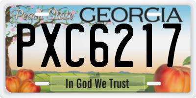 GA license plate PXC6217