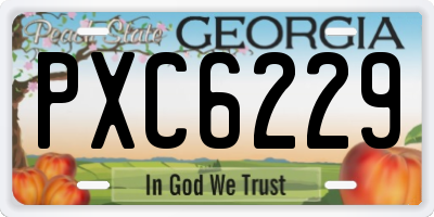 GA license plate PXC6229