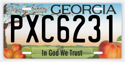 GA license plate PXC6231