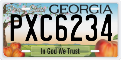 GA license plate PXC6234