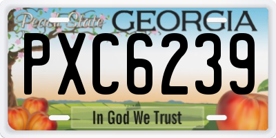 GA license plate PXC6239
