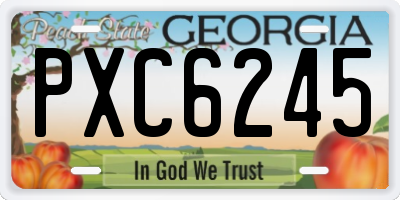 GA license plate PXC6245