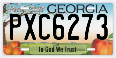GA license plate PXC6273