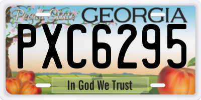GA license plate PXC6295