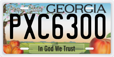 GA license plate PXC6300