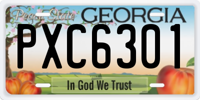 GA license plate PXC6301